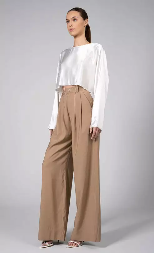 Fabi Wide Leg Pant in Camel